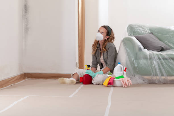 Reliable Mold Cleanup contractor in Elmira, NY by Cheap Mold Removal